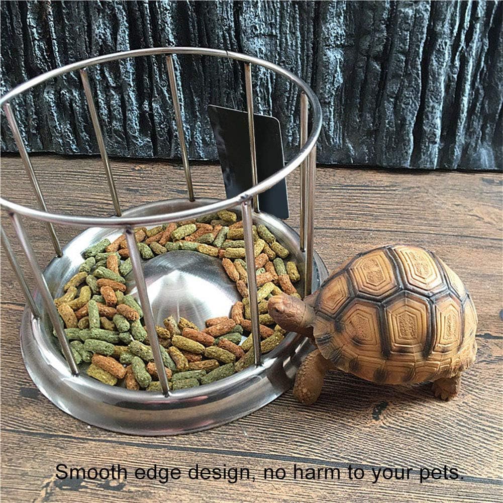 Reptile Turtle Feeder, Food Feeder Bowl and Durable Rock Food for Reptiles for Aquatic Turtles(S)