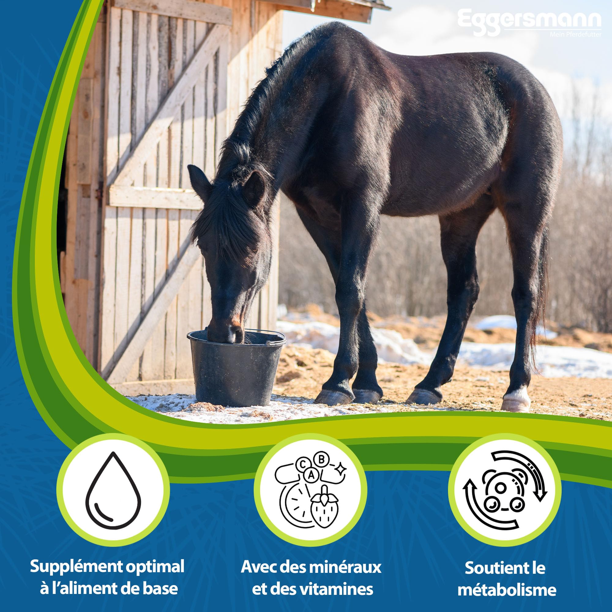 Eggersmann Mein Pferdefutter Horse Vital Plus 10 kg – Nourriture minérale pour Chevaux de Toutes Sortes – Nourriture pour Chevaux Riche en vitamines pour Un approvisionnement Optimal – pour compléter