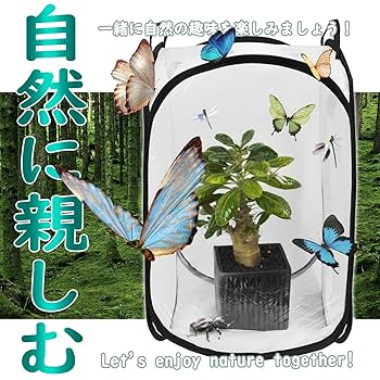 Amazon | Nanakake 昆虫ケージ 昆虫飼育箱 虫かご 折り畳み 育