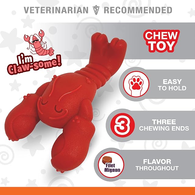 Foto 3 de 8 de Nylabone Juguete para Perros con Forma de Langosta y Filete Mignon (1 Unidad)