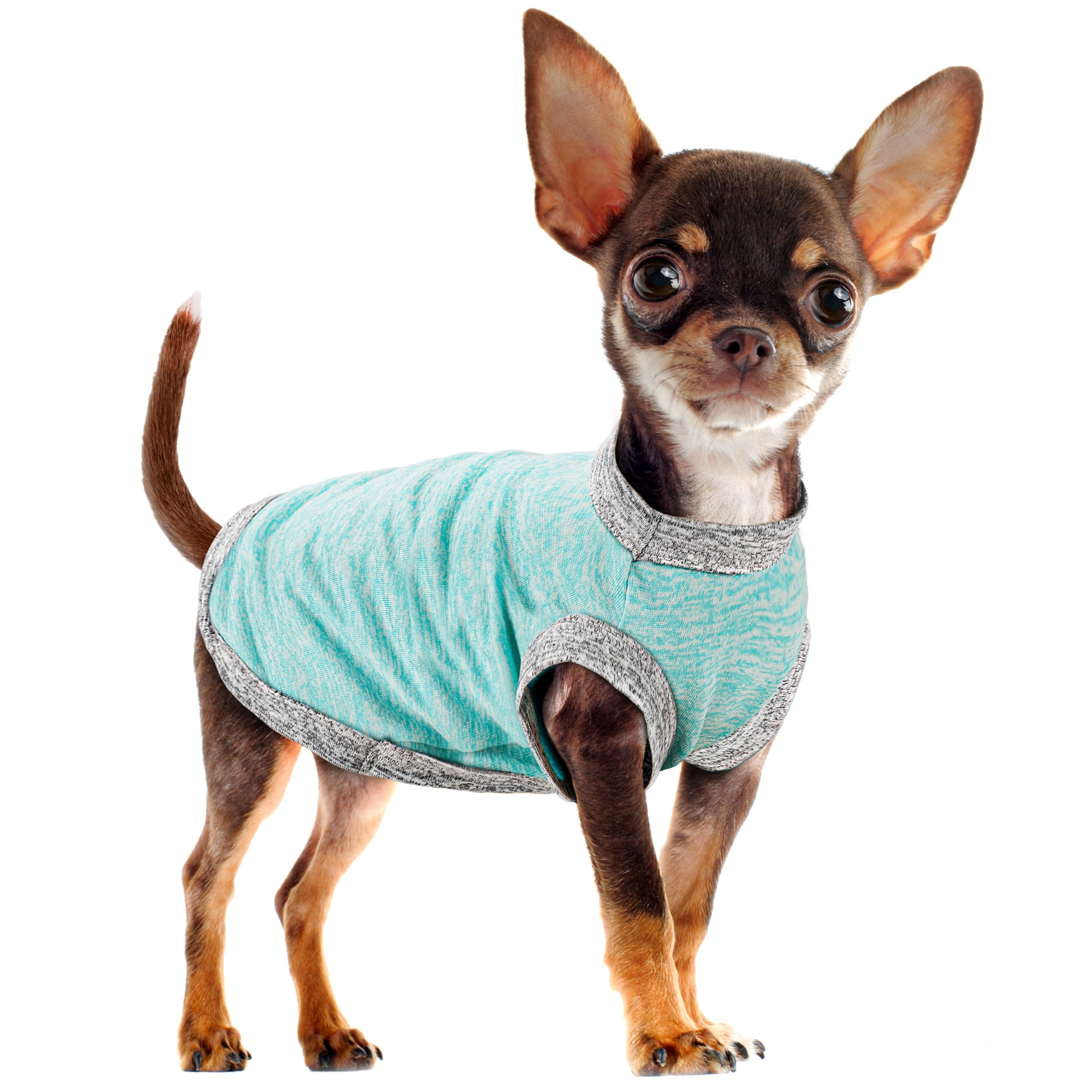 Chic Ion Polyester Dog Vest: Adorable Fashion Apparel for Small, Medium, and Large Breeds, Moisture-Wicking, Soft, Anti-Static, Durable, and