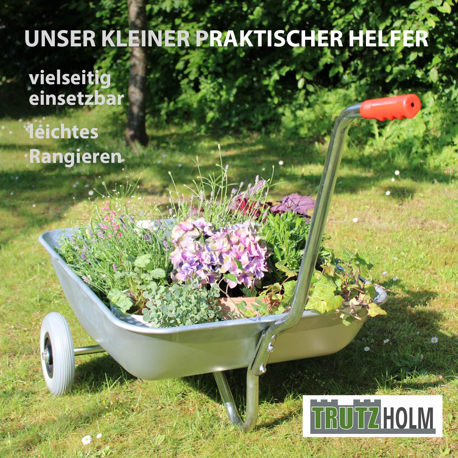 TRUTZHOLM Schubkarre Einhandkarre Friedhofskarre Pflanzkarre Gartenkarre Handwagen Traglast 100 kg mit Vollgummirädern