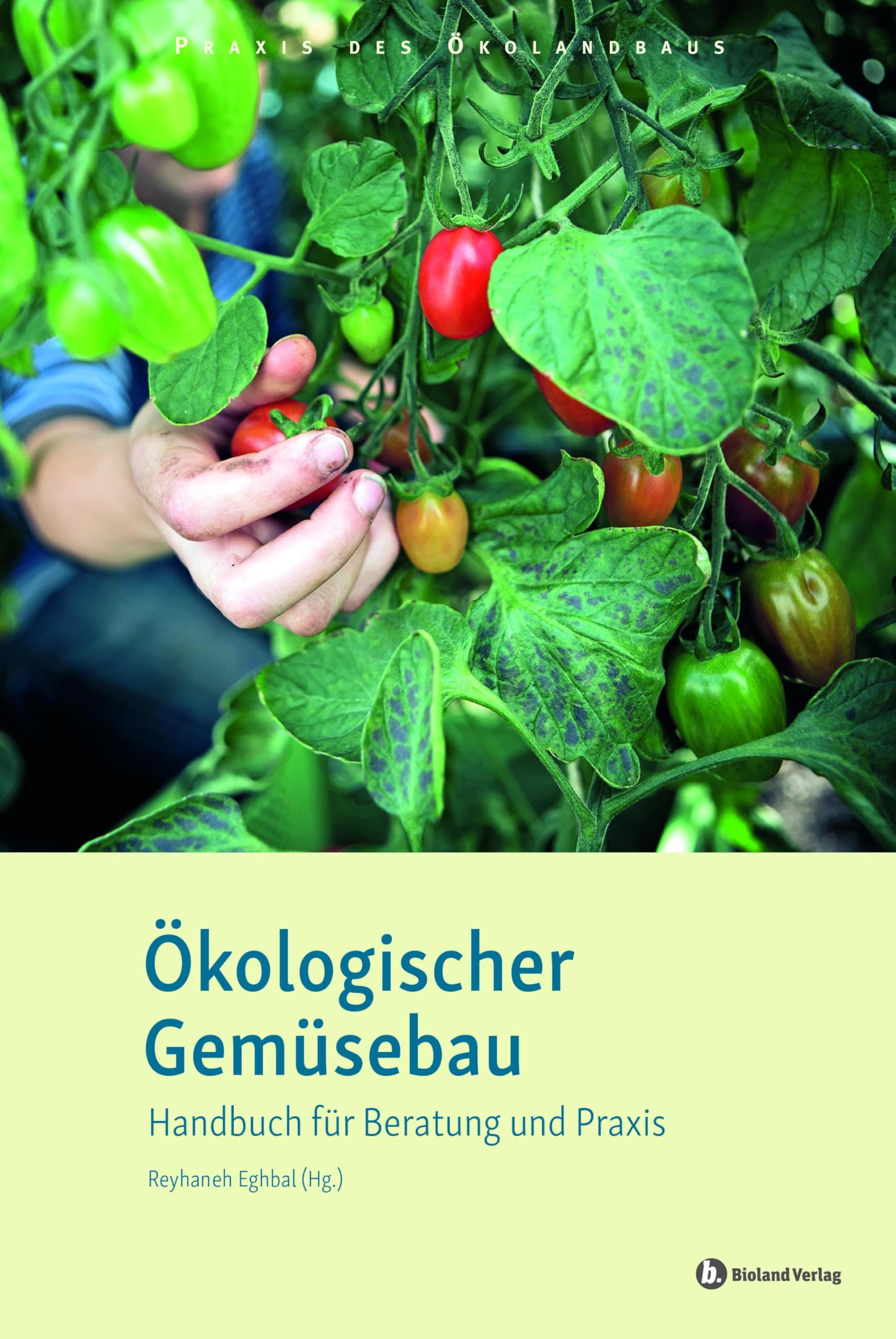 Ökologischer Gemüsebau: Handbuch für Beratung und Praxis