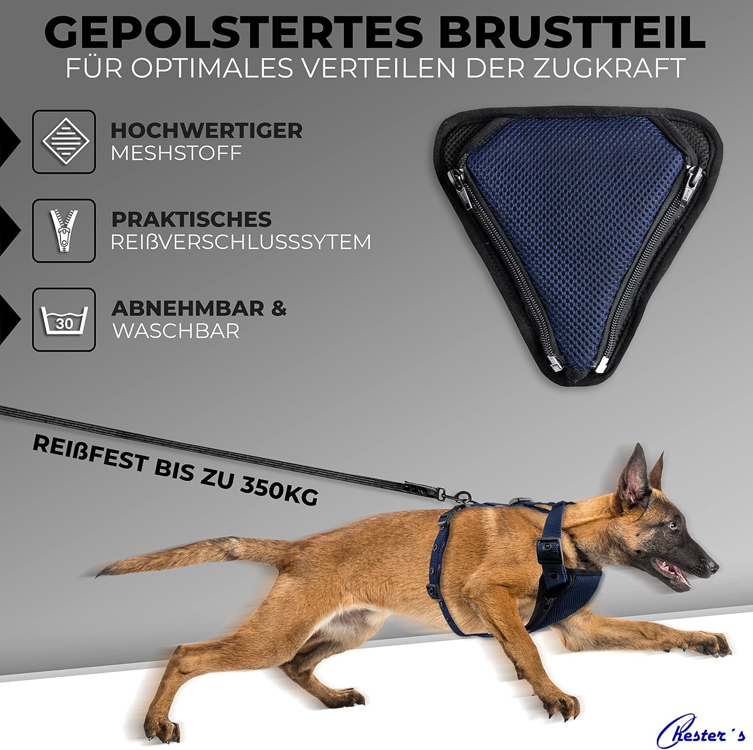 Chetser’s dog chest harness with special fixing system on all straps