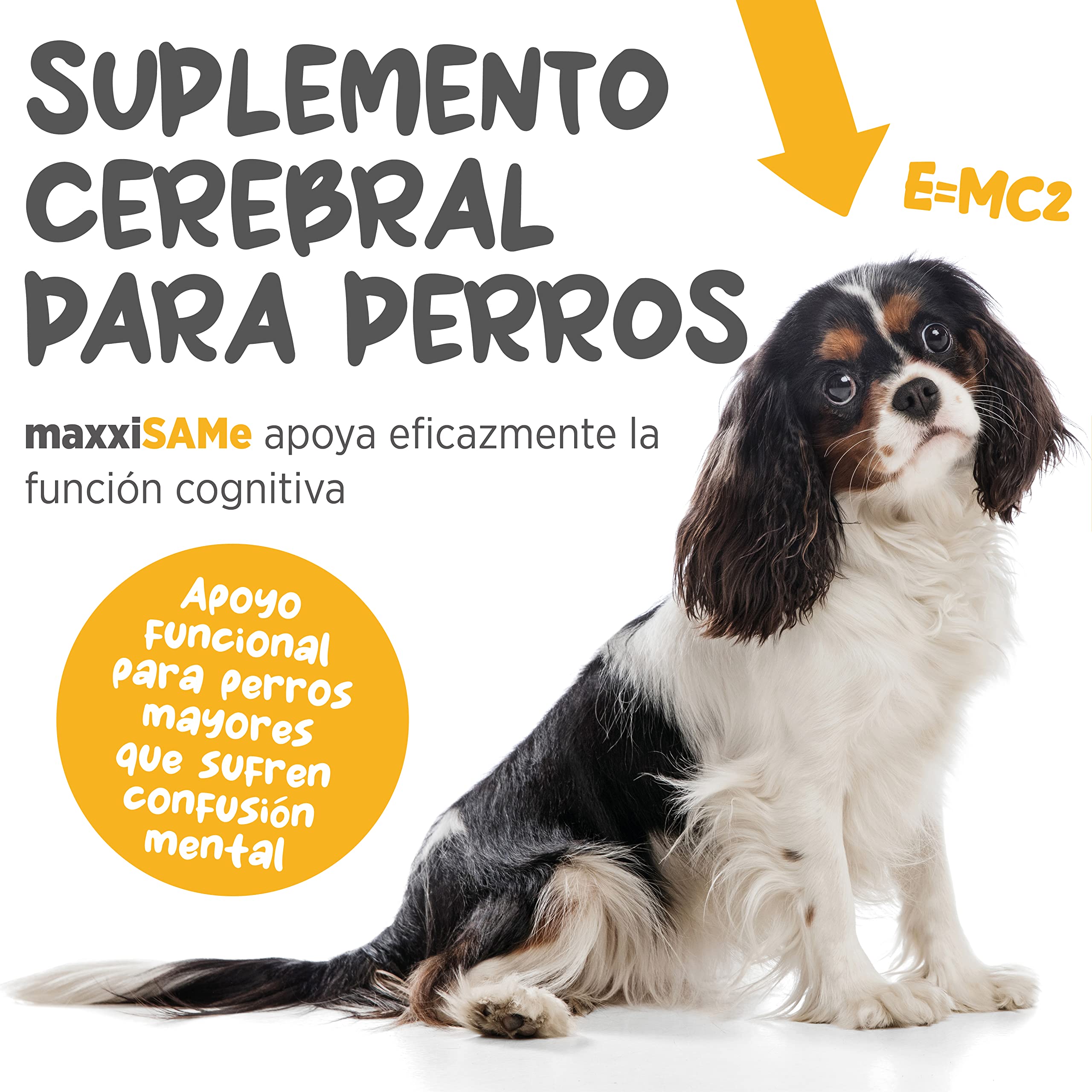 maxxipaws maxxiSAMe Suplemento en Polvo Avanzado de Sam-e – Apoyo para el Hígado, la Cognición y Las Articulaciones para Perros, 150g