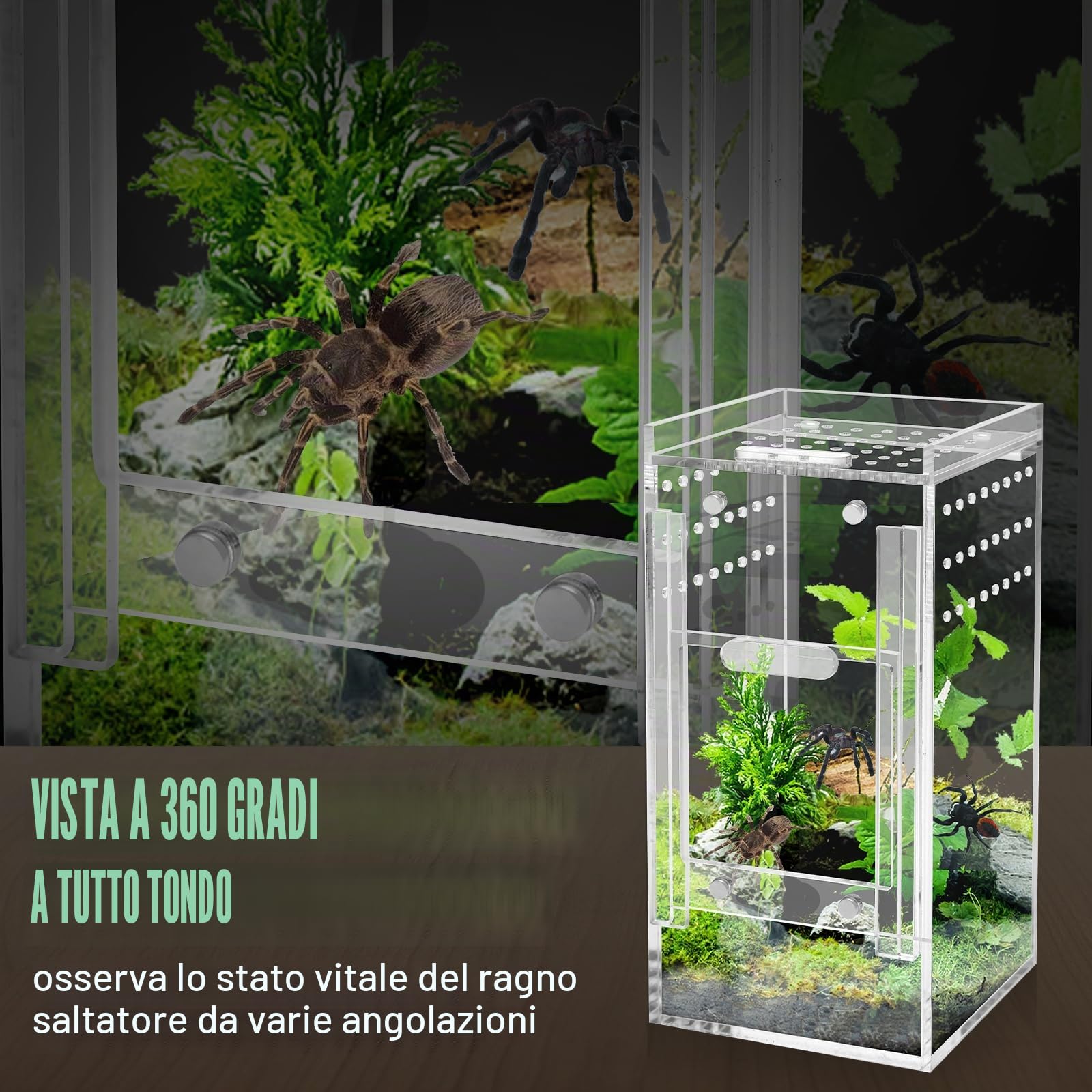 Windspeed - Recinzione per ragni che saltano, in acrilico, per micro habitat, per arboree, tarantole, lucertole, gechi, ragni che saltano, scatola acrilica per terrari