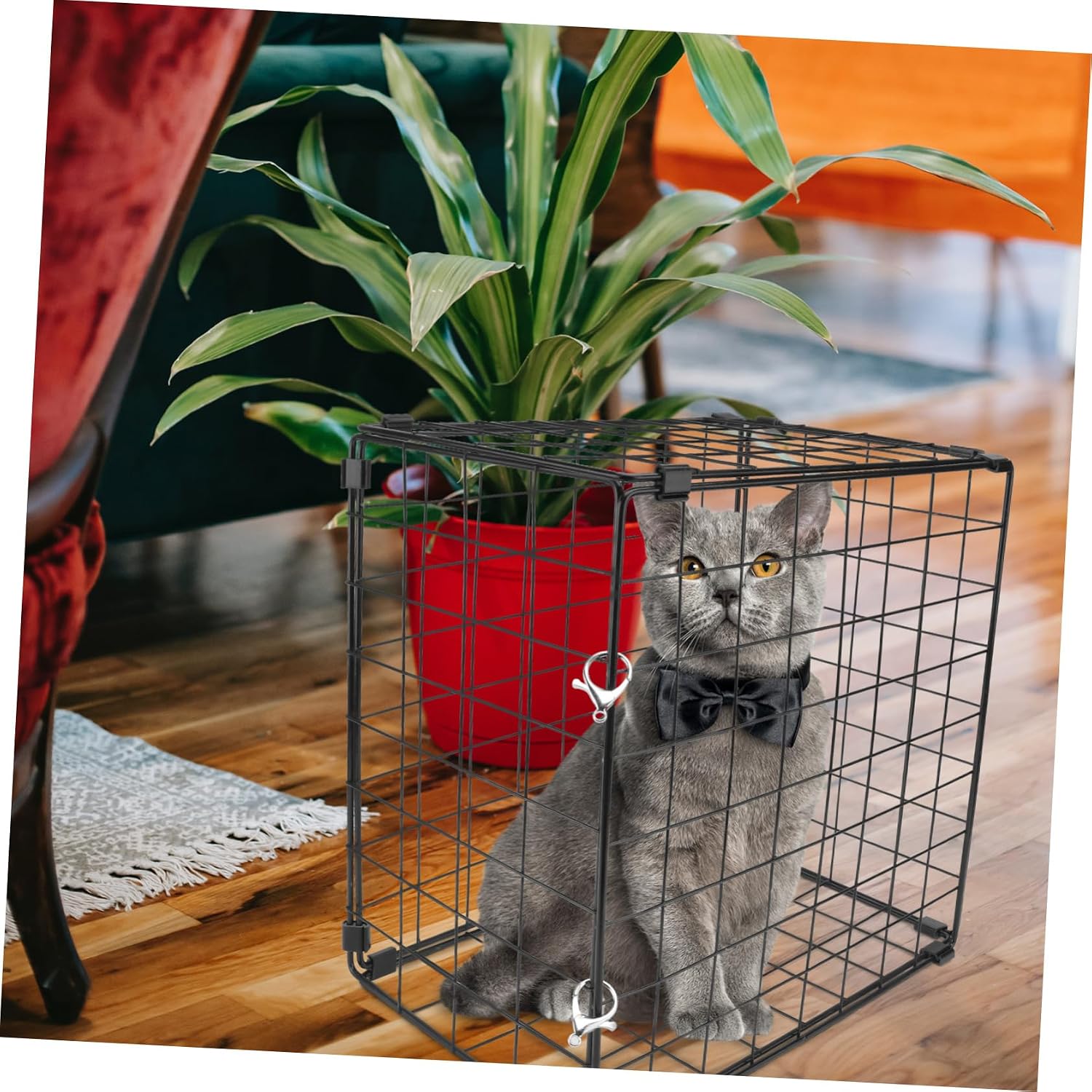 Foldable Iron Cat Cage with Design for Home and Car Use | Rust-proof Build, Black Finish, Suitable for Cats under 3kg, Practical Pet Enclosure for Indoor Travel