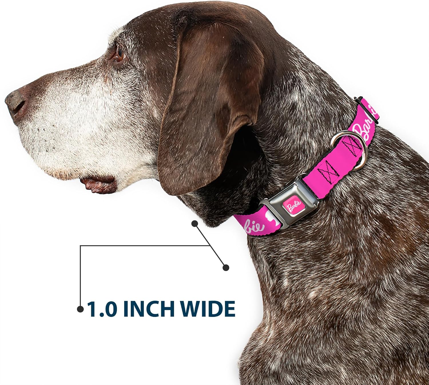 Mattel Easy Adjustable Metal Seatbelt Buckle Quick Release Dog Collar, Barbie Script Signature Logo and Silhouette Hot Pink White, 15 to 24 Inches 1.0 Inch Wide