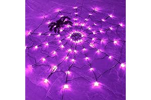 FUNPENY Halloween 80 LED Spider Web Lights with Spider