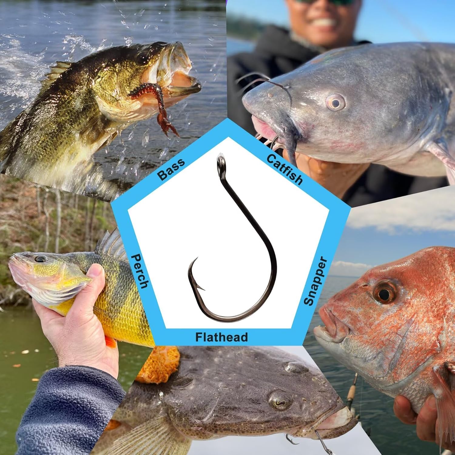50Pcs Circle Hooks with Fishing Hook Remover, Super Sharp and Offset Catfish Octopus Circle Hooks for Saltwater and Freshwater, Nickel Coated High Carbon Steel, Sizes #1-8/0
