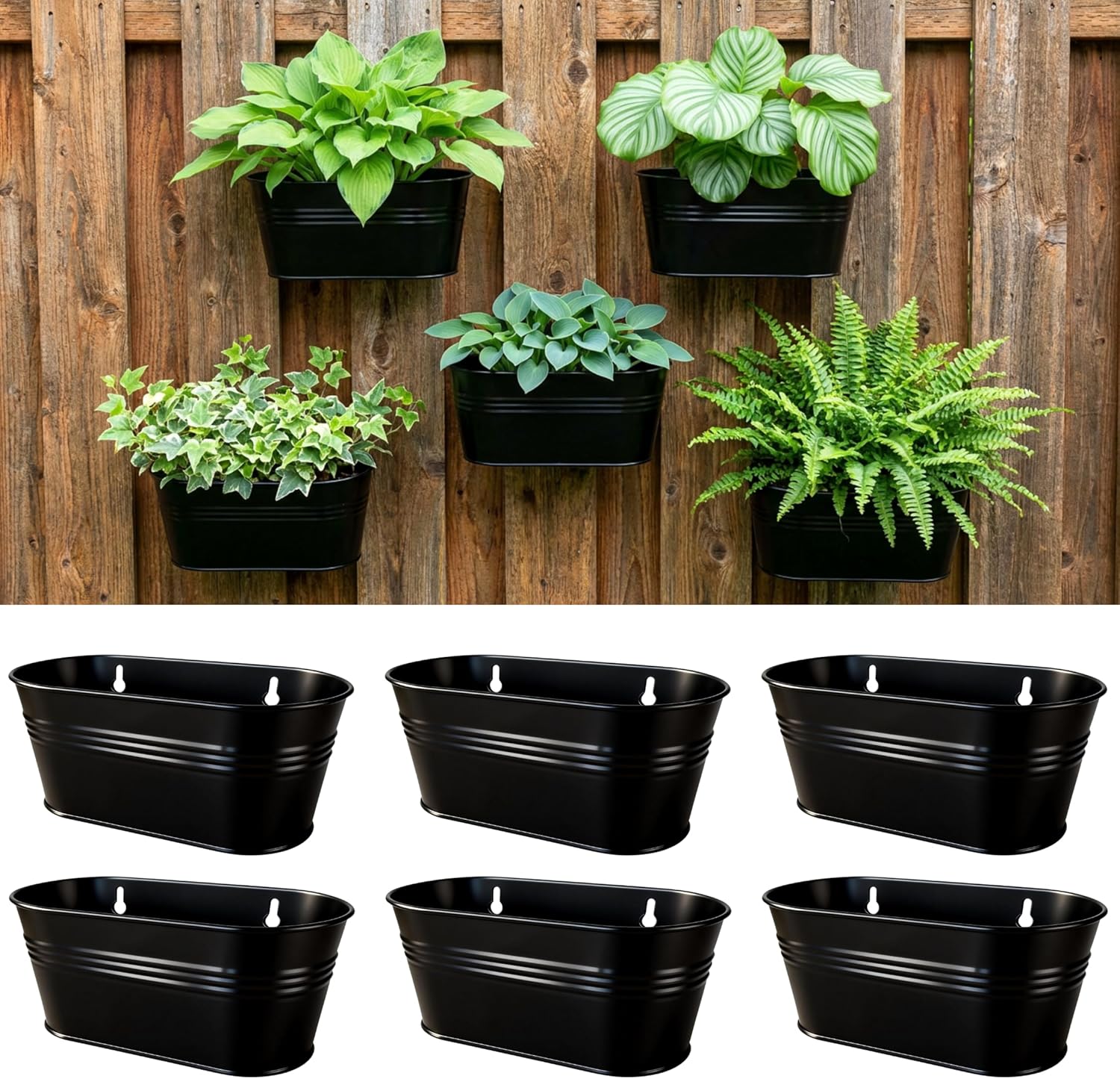 LaLaGreen Wall Planter (9.8 Inch, 10 Pack) Black Oval Metal Hanging Decor Plant Holder Wall Planters for Indoor Plants Balcony Decoration Porch Plants Pots Mounted Indoor Window Planters Pot Baskets