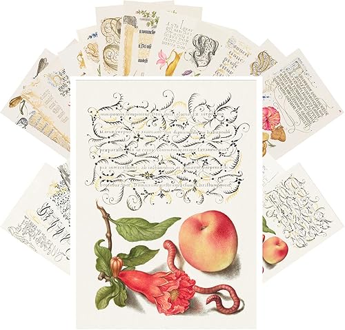 Miniatura 6 de PIXILUV Postales vintage 24 piezas de flores y frutas todavía vida antigua museo pintura arte de Oliver Retro Poster REPRINT Negro