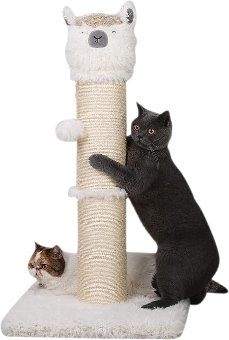 square scratching post