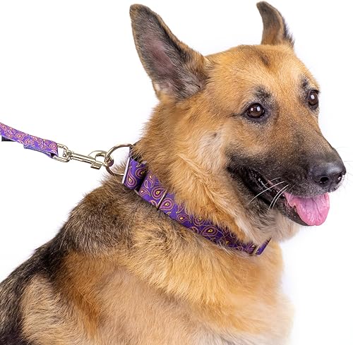 Miniatura 5 de Country Brook Petz - Collar de perro Martingala de cachemira de fuego, colección Paisley con 6 diseños elegantes (1 pulgada, mediano)