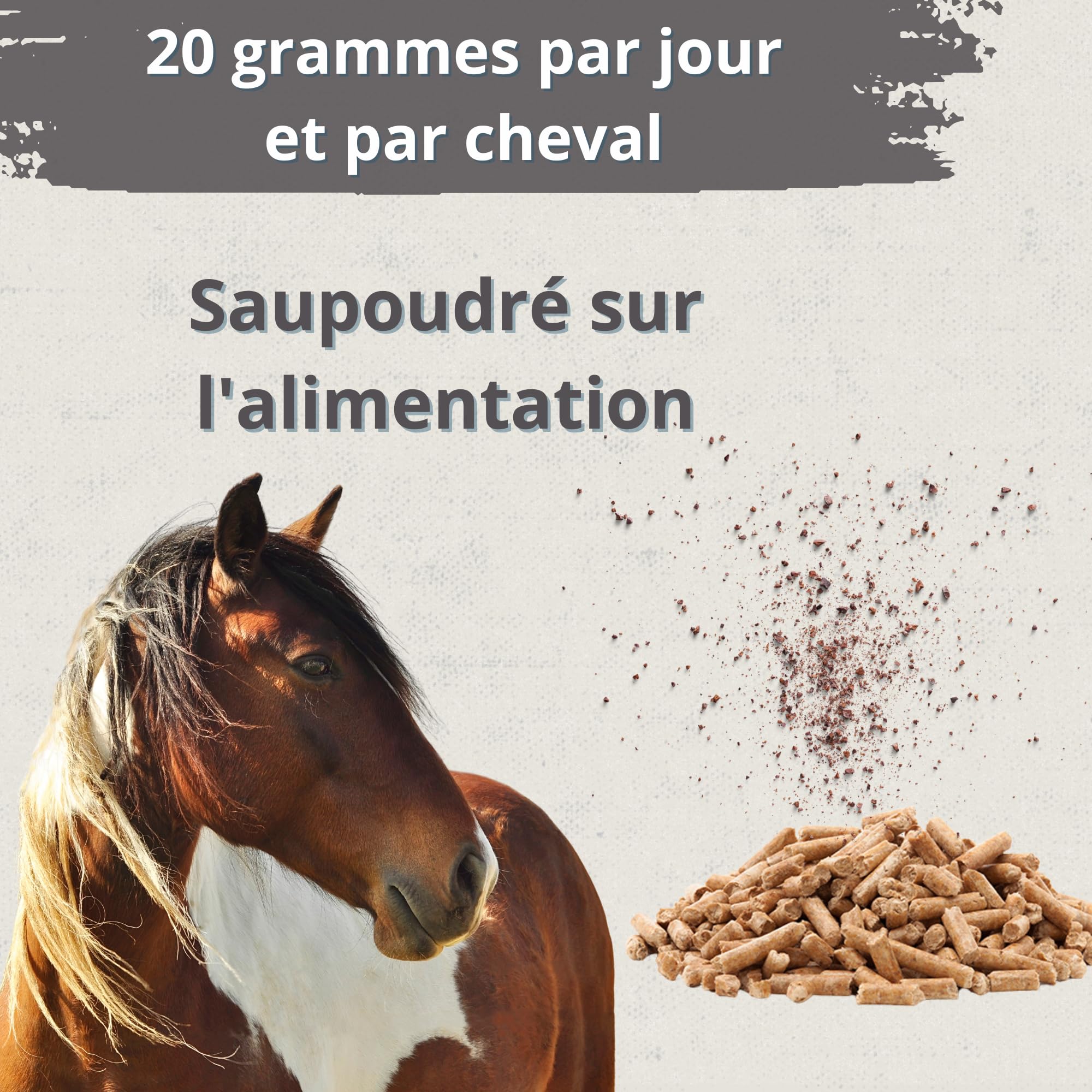 Hoofcare Biotine et zinc pour casques de cheval 750 g – Sabots forts et croissance naturelle – Idéal pour les casques fragiles, le changement de pelage et les chevaux sportifs – Soins sabots et peaux