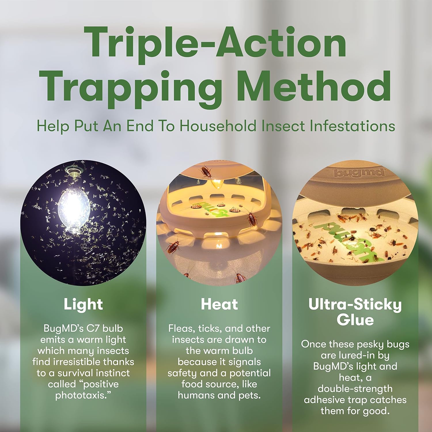 Buy BugMD Termination Station Trap Combination of Light, Heat and