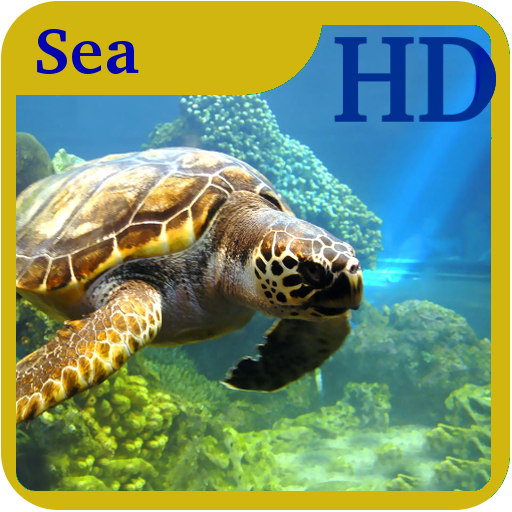 Sea Creatures Wallpaper HD App on Amazon Appstore
