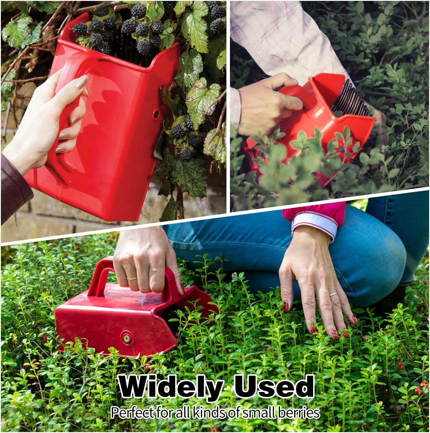 Berry Picker, 4 Pack Berry Pickers and Rakes with Metallic Comb and Ergonomic Handle for Easier Berry Picking, Blueberry Rake Scoop for Blueberries, Lingonberries and Huckleberries