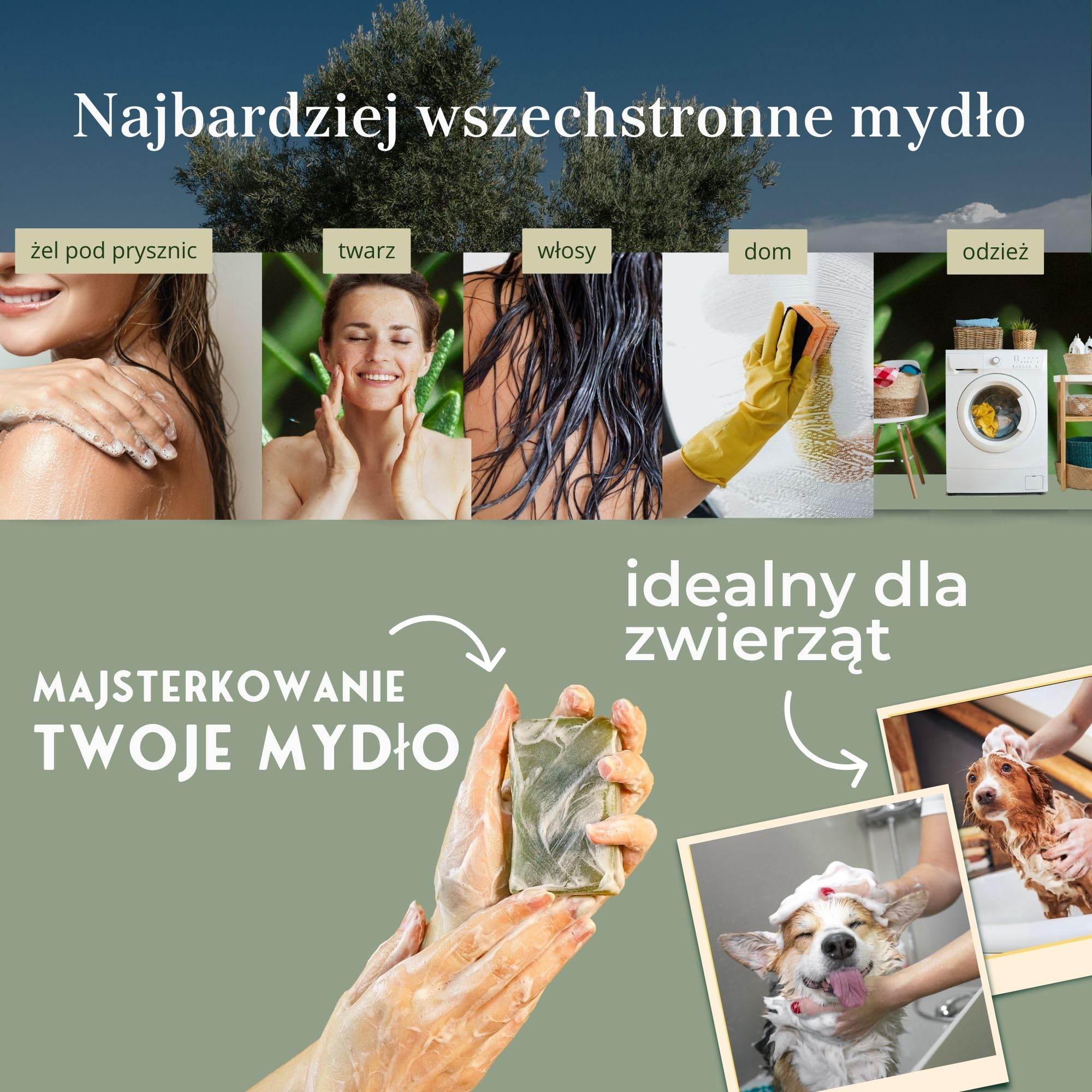 Mydło Organiczne Castile 2L | W 100% Naturalne z Oliwy z Oliwek | Wielofunkcyjne: Ciało, Włosy, Dom | Bez Siarczanów i Perfum | Nietestowane na Zwierzętach, Wegańskie