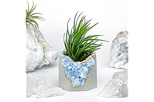Mystical Geode Planter for Live Mini Succulent Plants
