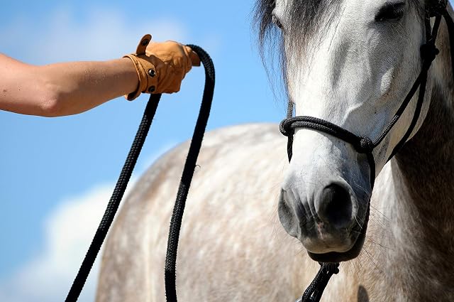 Foto 4 de 8 de Hunters Saddlery Cabezada de Nudos (Potro miniatura, Gris)