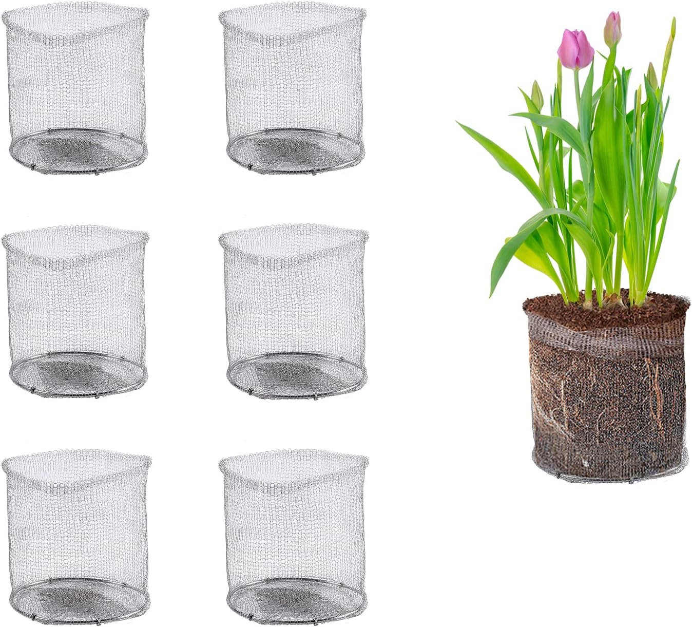Aulock 6 Pack 1 Gallon Root Stainless Steel Guard Baskets