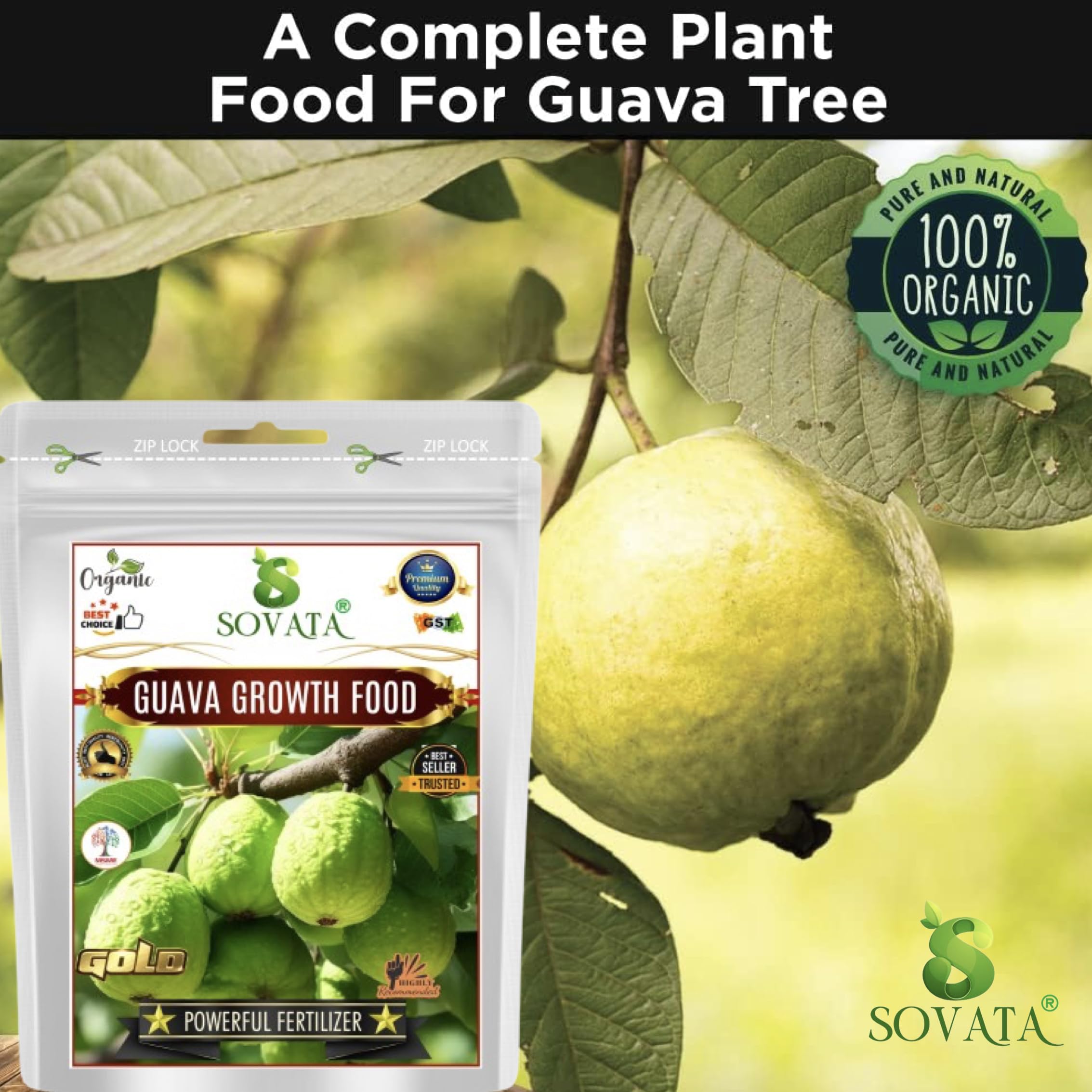 Amazon.com : Sovata Guava Growth Food, Powerful Organic Fertilizer for  Fast Growth and Heavy Fruiting of Guava Plants. (200 gm) : Patio, Lawn &  Garden