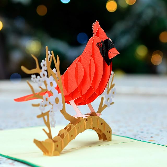 CUTPOPUP Bird Birthday Card Pop Up, Greeting Card 3D Pop Up (Cardinal) UK