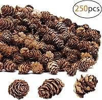 Vista 6 de Deloky 250 piezas de piñas naturales de Navidad, adornos de piñas de Acción de Gracias para manualidades, decoración del hogar, otoño y Navidad
