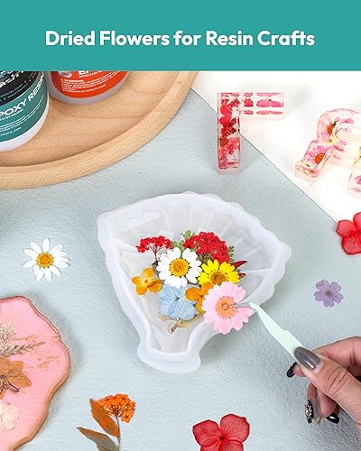 Vista 21 de Resiners - Flores secas, 100 piezas de flores prensadas para manualidades, color amarillo, flores secas naturales, kit de hojas secas