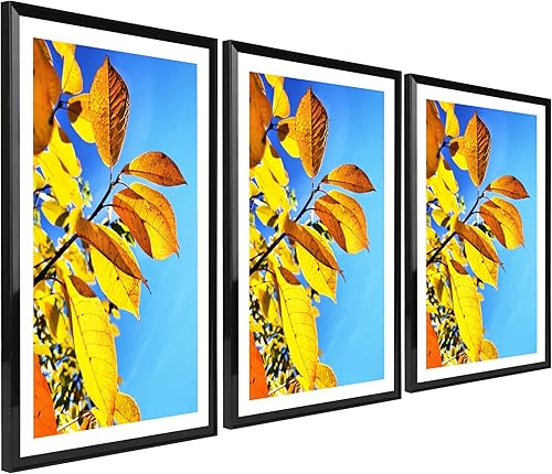 Miniatura 7 de Aynoo Marco negro para póster de 11 x 17 pulgadas, para fotos de 11 x 17 o 9 x 15 pulgadas, marco de collage para montaje en pared, negro, paquete