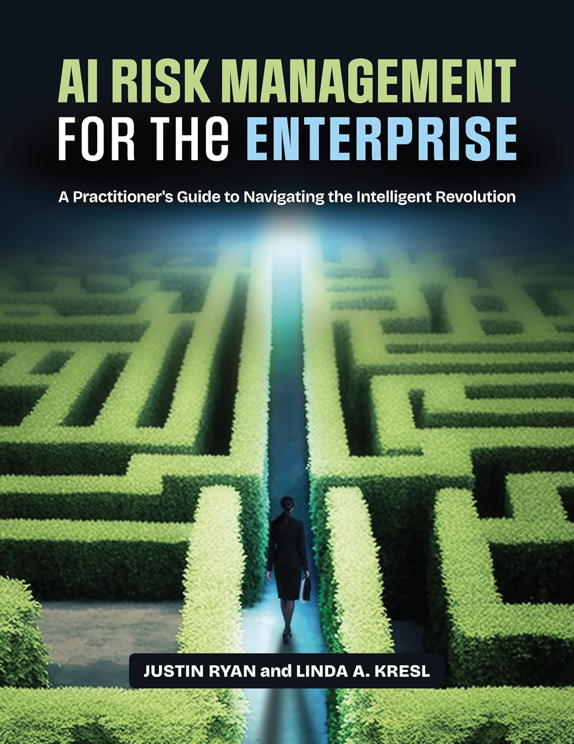 AI Risk Management for the Enterprise: A Practitioner's Guide to Navigating the Intelligent Revolution      Kindle Edition