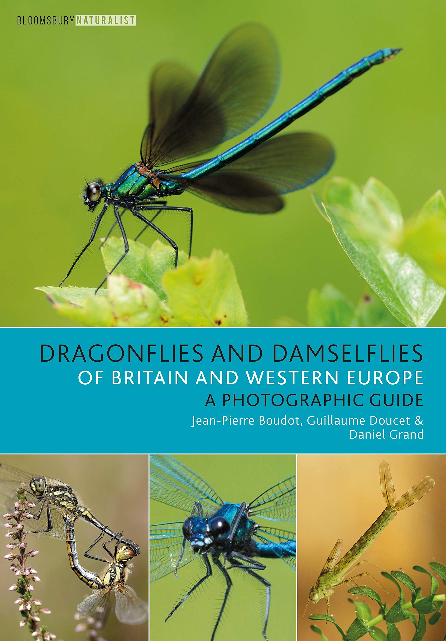 Dragonflies and Damselflies of Britain and Western by Daniel Grand PAPERBACK