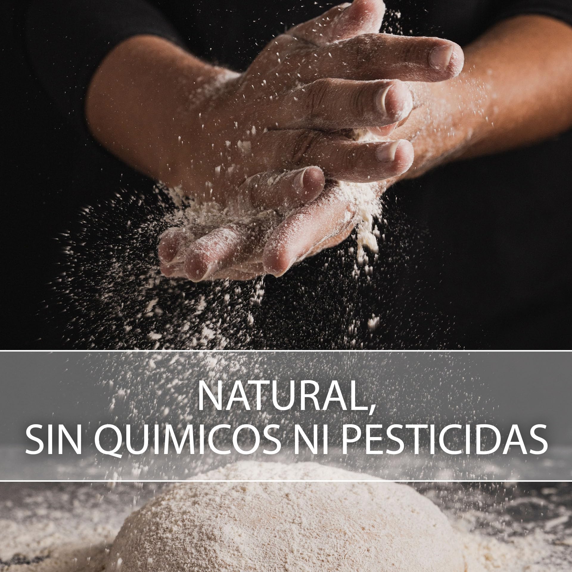 Harina de Centeno Ecológica Blanca | Molida en Piedra | Harina de Centeno | Ideal Para Recetas Tradicionales, Panadería | Favorece La Digestión | Para Uso Profesional | De 25kg