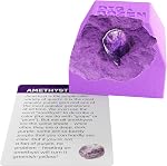 Dig une douzaine de blocs de pierres précieuses - Ouverture de la pause 12 Blocs de pierres précieuses uniques et découvrez 12 De véritables pierres précieuses - Minéraux & Collection Rock pour les enfants - Cadeau de science en géologie pour les garçons & Filles