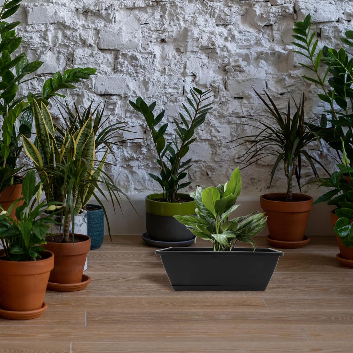 4sets Rectangular Window Box with Trays for Indoor and Outdoor Vegetables and Flowers and Material Deep