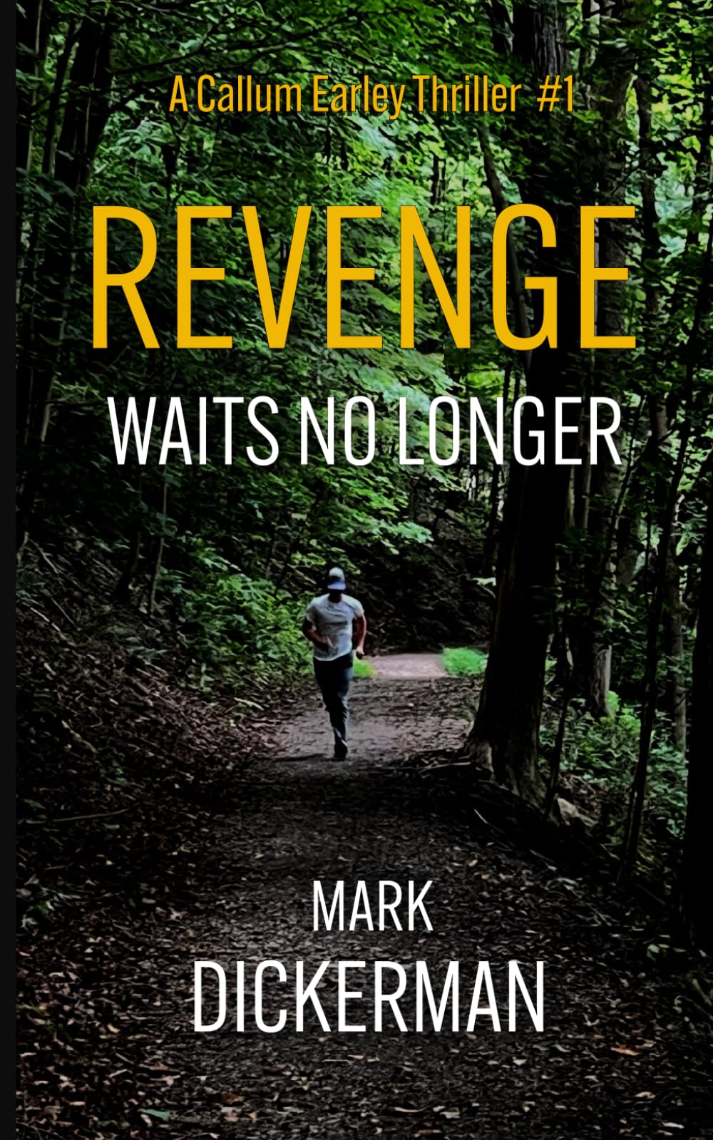 Revenge Waits No Longer: 1 (Callum Earley Thrillers)