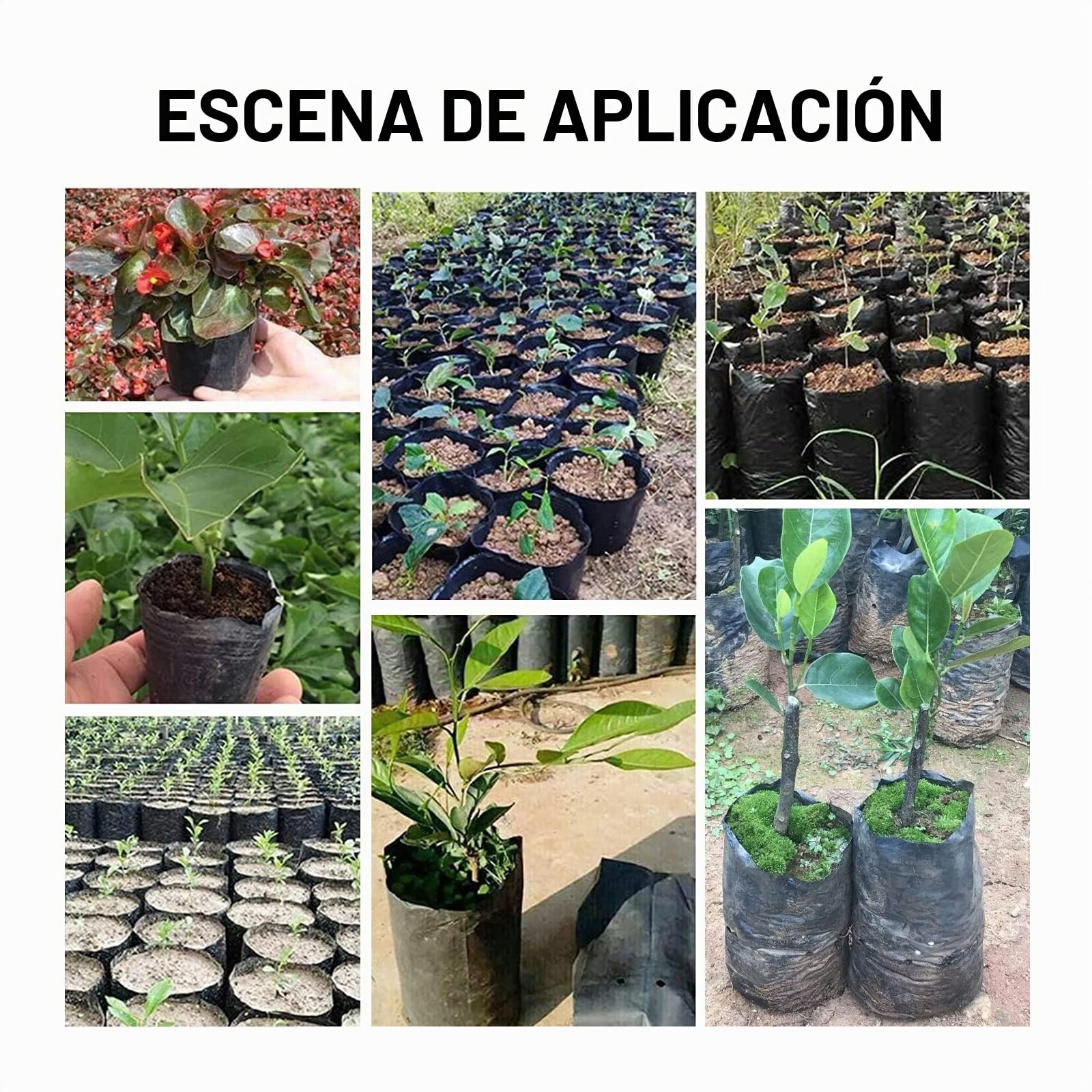 Bolsa para Plantas Paquete de 100 PE Bolsas para Cultivo de Plantas Engrosadas Biodegradables con Agujeros Transpirables Bolsas para Plántulas 25x30cm (DxH)