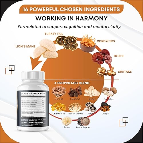 Miniatura 4 de Melena de león orgánica Cola de pavo Cordyceps Reishi Shiitake Maitake Meshima Poria Cocos Seta ostra Agaricus Chaga Shiitake Seta Nieve -150
