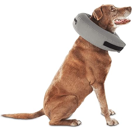 friskies flaked with tuna and egg