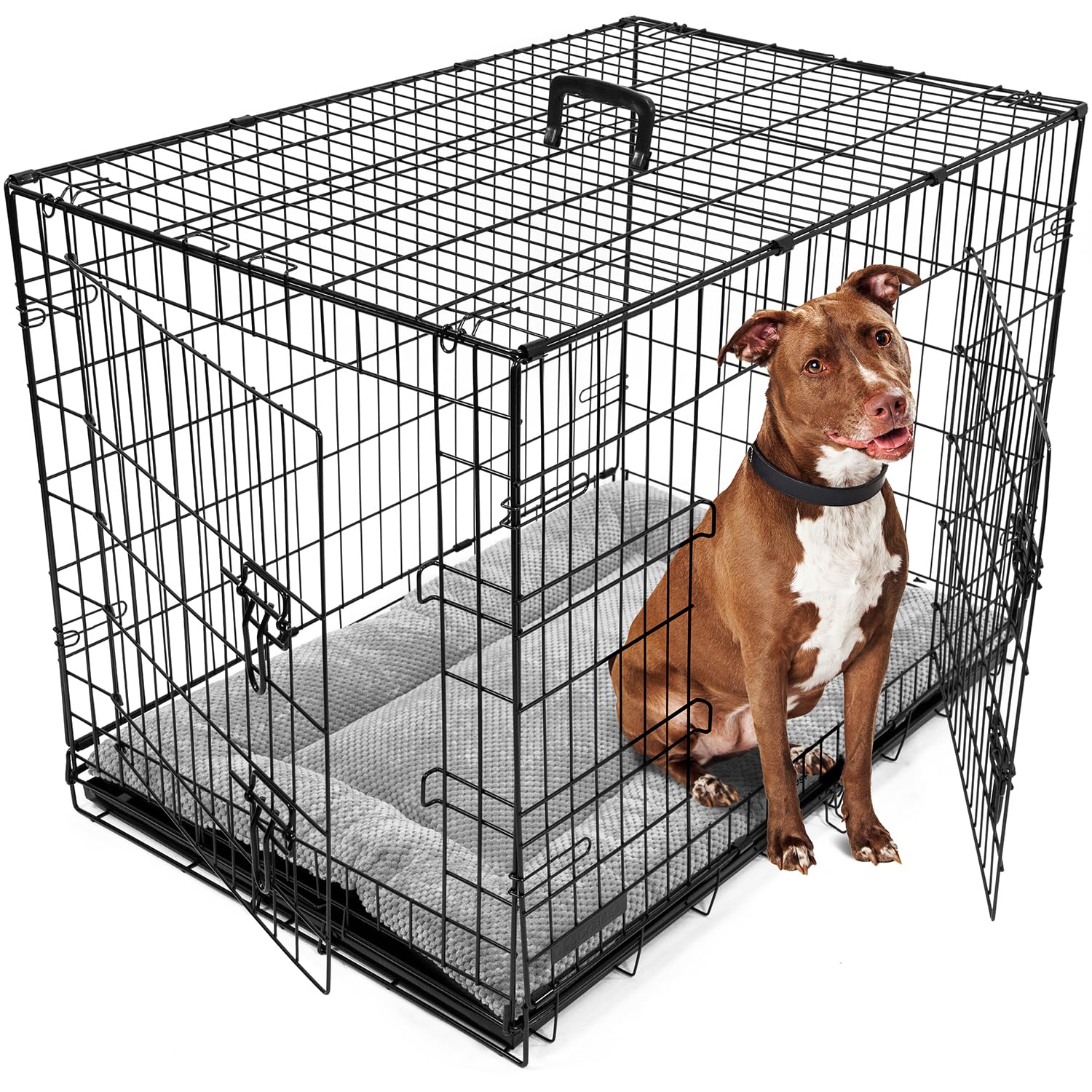 DogCrates+ Large Foldable Dog Crate with Bed, 2 Doors Design, Non-Chew Metal, Removable Tray, 36-Inch Black โ image 1