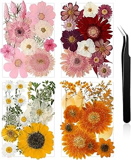 Nuanchu Pressed Flowers Bulk Dried Flower for Crafts, Dried Wildflowers Leave Natural with Tweezer for Resin Mold Scrapbooking Nail Soap Making DIY(Rustic Style,Mixed Color)