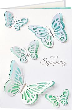 Crisky 2 Pcs Sympathy Cards with Envelopes Signature 3D Butterflies Condolence Cards