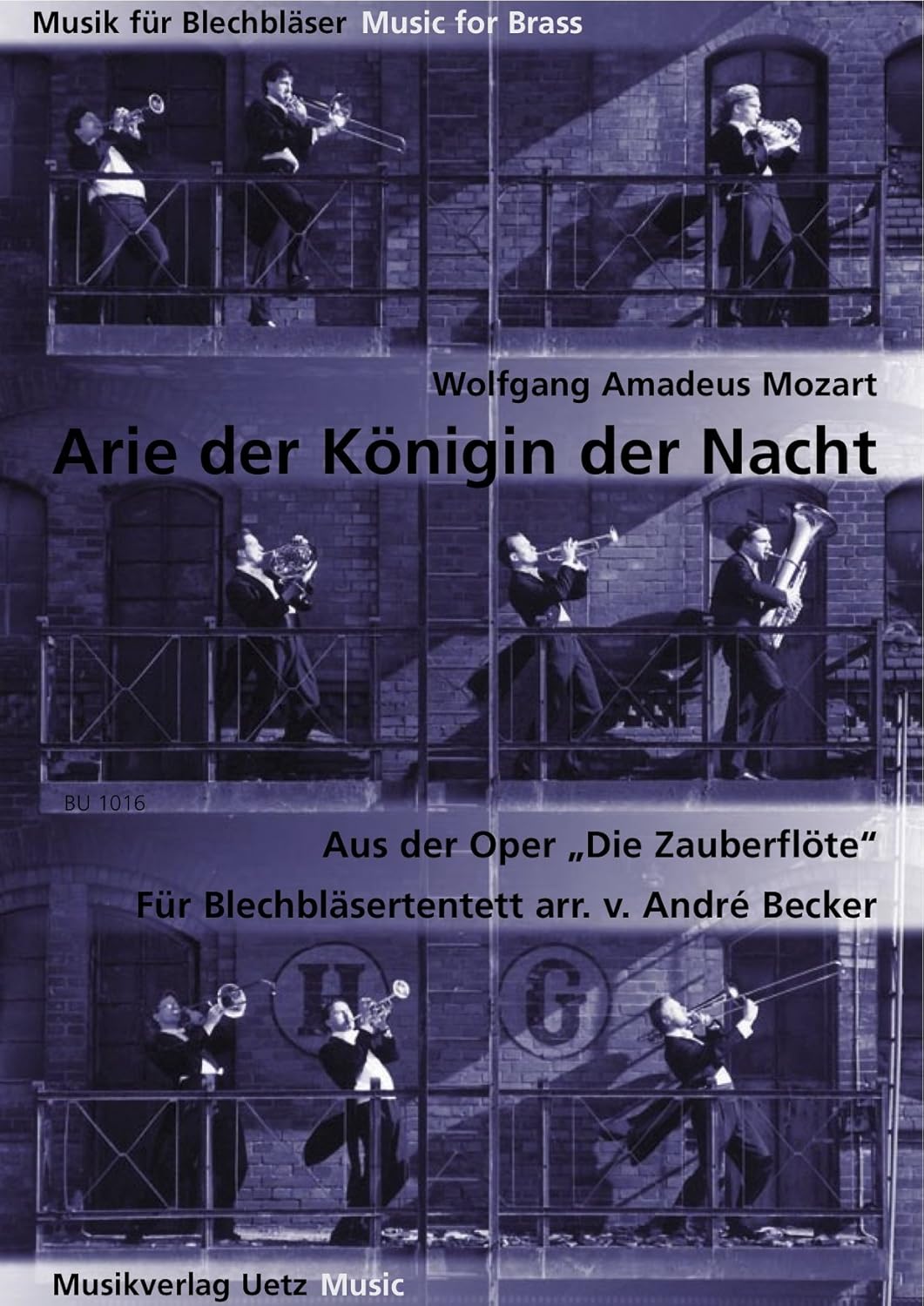 Arie der Königin der Nacht. Aus der Oper  Arie der Königin der Nacht. Aus der Oper