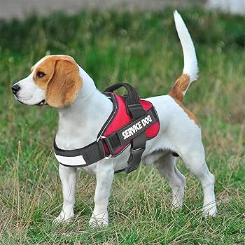 Amazon | カスタム刻印 ID ネーム犬用ハーネス パーソナライズ