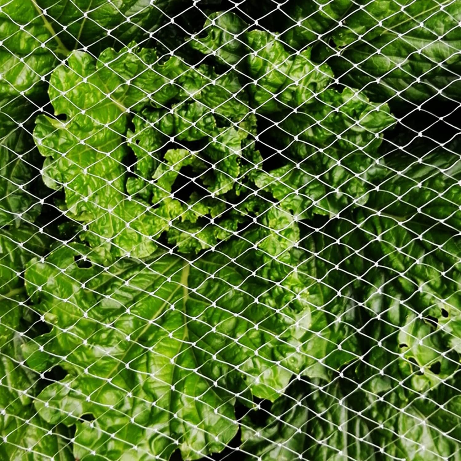 Premium Plant Netting Cover for Fruits & VegetablesLightweight White Mesh Bird Netting for Chicken Coop & Garden Animal Protection (15x20m/49.2x65.6ft)