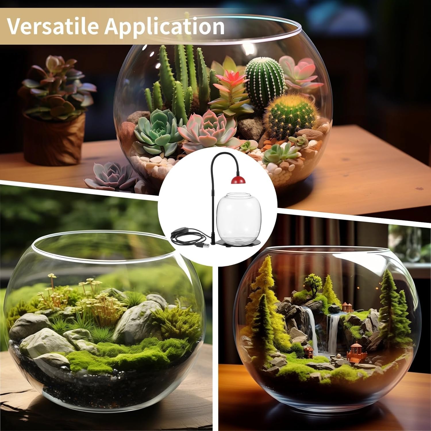 Succulent Glass Terrarium with Led Grow Light, Timed Lighting System for Indoor Plants, Office Or Home Desk Decoration