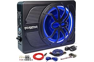 10" Sound Car Subwoofer for an Immersive Audio Experience