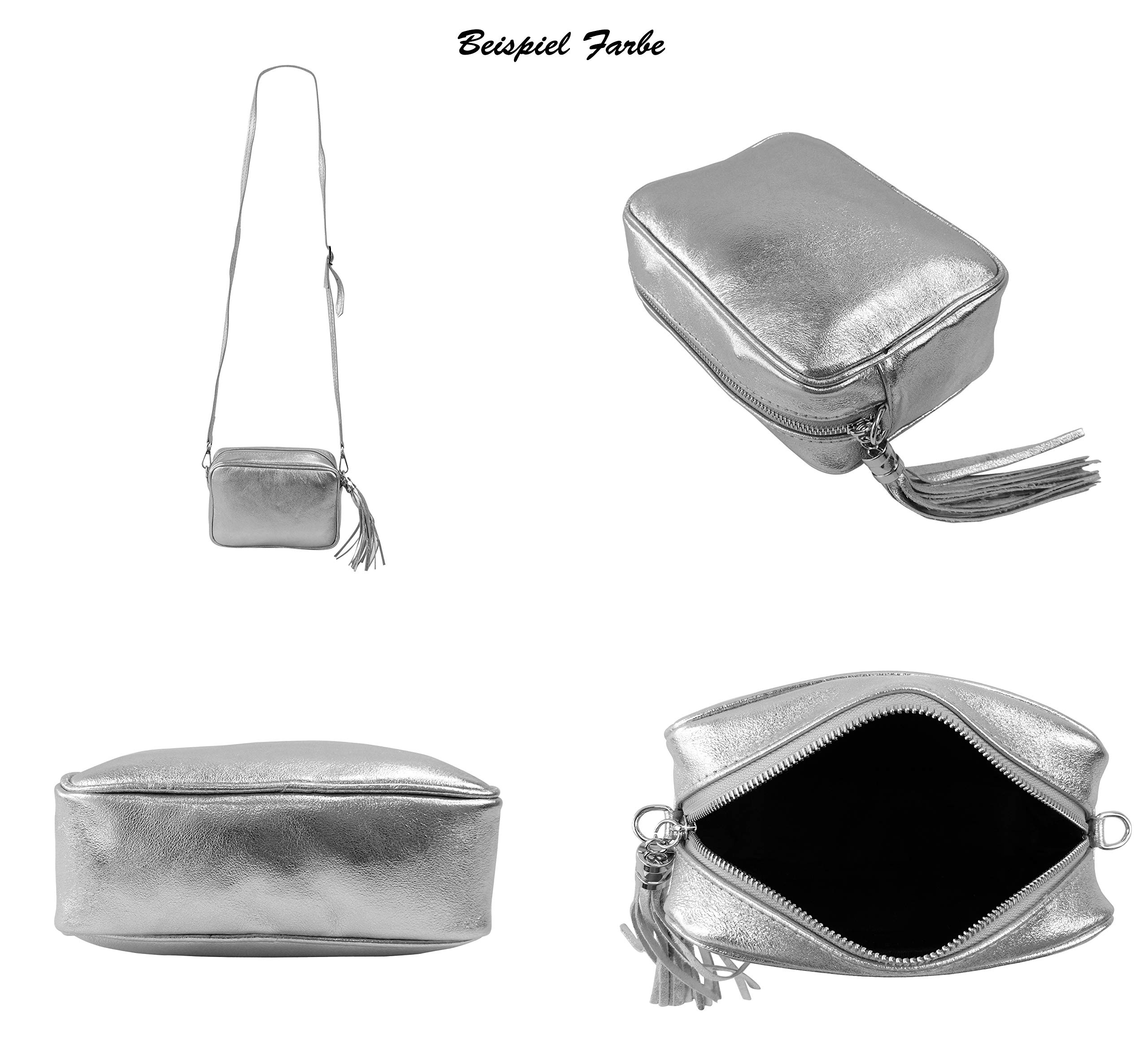 SH Leder Echtleder Umhängetasche mittel kleine Tasche Abendtasche Clutch Crossbody Bag Messenger Handtasche mit Reißverschluss 21x15cm Chiara G209