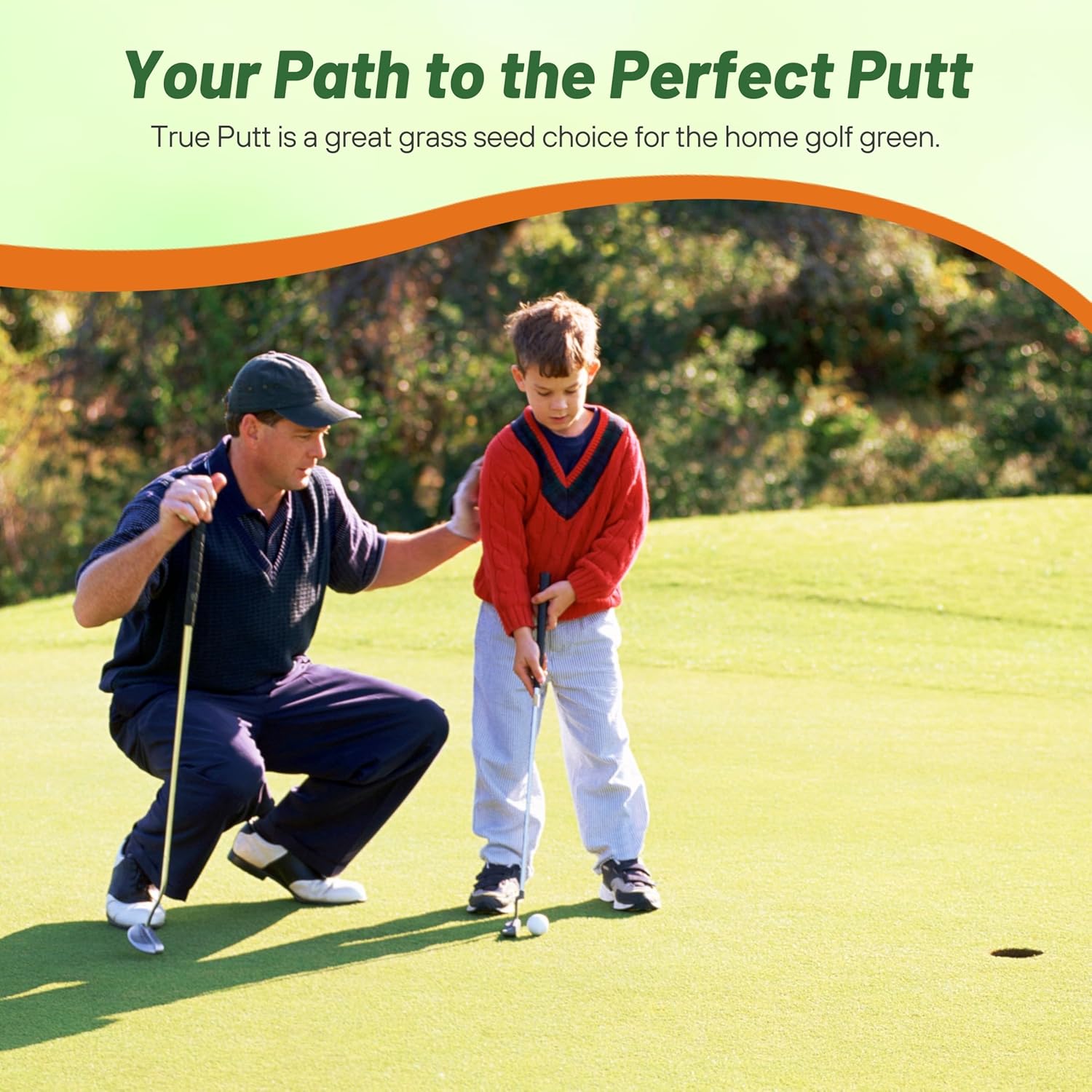 Outsidepride True Putt Perennial Creeping Bluegrass Seed - 1 Lb. Shade-Tolerant Bluegrass for Golf Courses & Home Putting Greens - Ideal for Dense, Fine-Textured Lush Turf in Low-Light Areas